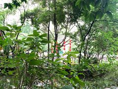 -成都市活水公园