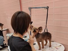 -FAELING PETS美天灵宠物(合生汇店)