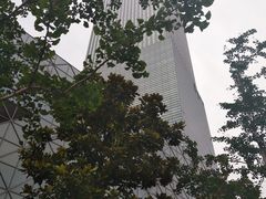 -嘉定凯悦·咖啡厅