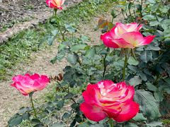 -人民公园(罗湖区)