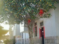 -向阳松鼠(三门井店)