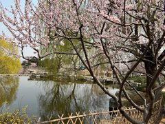 -北京西山国家森林公园