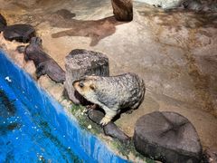 -正佳雨林生态植物园