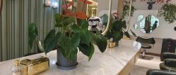 -木北护肤造型