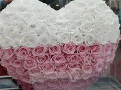 -ROSEONLY诺誓(广州K11店)