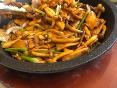 -印象高密·凤都国际大酒店