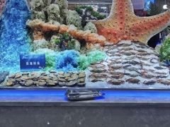-锤头鲨毛肚海鲜烤肉自助餐厅(国购广场店)