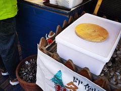 -Sirena海妖日咖夜酒