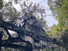-柯岩风景区