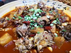 -青城甲(青城山店)
