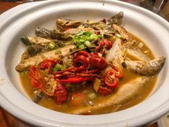 -小小饭店·休闲农庄·安吉松树林里的农家菜