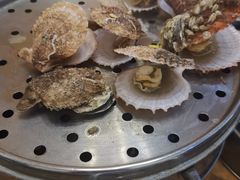 清蒸扇贝-九层海鲜塔(市南店)