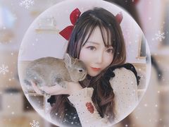 -猫猫幼稚园·撸猫·桌游·电玩