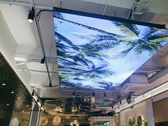 -探窝·竹笙椰子鸡(杨箕店)