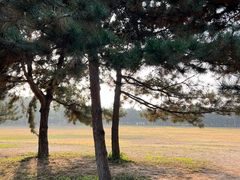 -石家庄市植物园