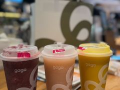-gaga(深圳南山益田假日广场店)