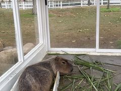 -盈香心动乐园