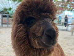 -洛阳龙门海洋馆