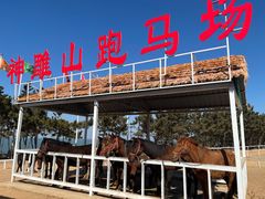 -西霞口神雕山野生动物世界