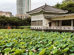 -荔湾湖公园