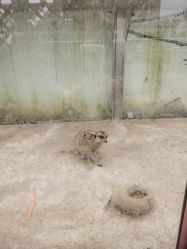 -三分地生态园·儿童乐园
