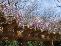 -南汇桃花村