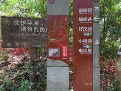 -梧桐山风景名胜区