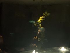 -泰之源足浴会所(玉环店)