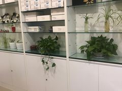 -瑞尔齿科(上海长风大悦城店)