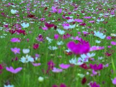 -北沙滩(地铁站)