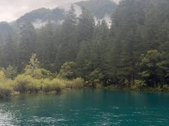 -九寨沟-树正沟