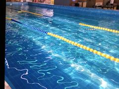 -重庆市奥林匹克体育中心-游泳跳水馆