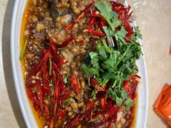 -杨氏青龙虾·羊蝎子(珠江路店)