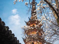 -北寺塔