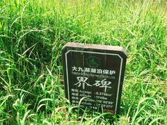-大九湖