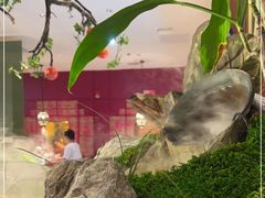 -九鼎轩脆毛肚火锅(三钢里店)