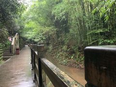 -凤栖山