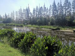 -前小桔亲子创意农场·草莓采摘·露营烧烤