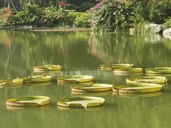 -云溪植物园