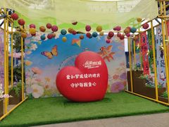 -南湖梦幻岛