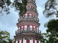 -顺峰山公园