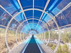 -盈香心动乐园