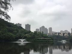 -重庆彩云湖湿地公园
