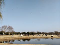 -钟山体育运动公园