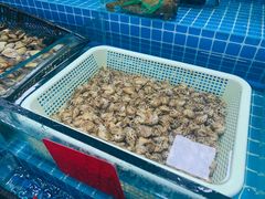 -陇南批发市场
