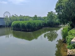 -白洋淀景区