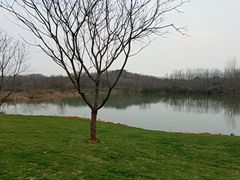 -盘龙城国家考古遗址公园