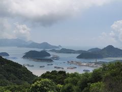-花竹村