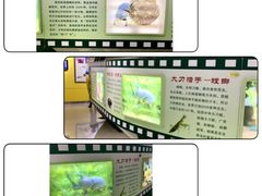 -上海昆虫博物馆