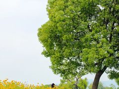 -良渚古城遗址公园